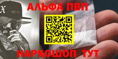 дурь Кингисепп