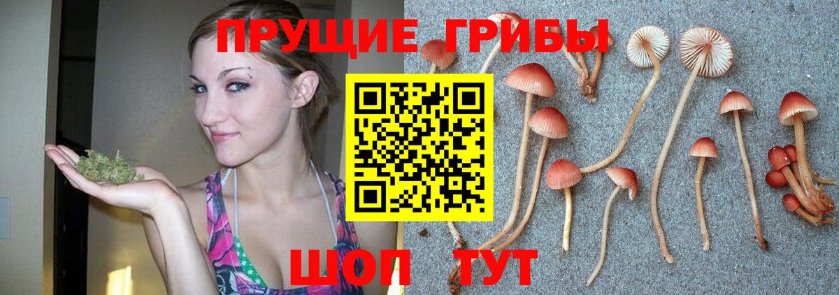 Галлюциногенные грибы MAGIC MUSHROOMS Альметьевск