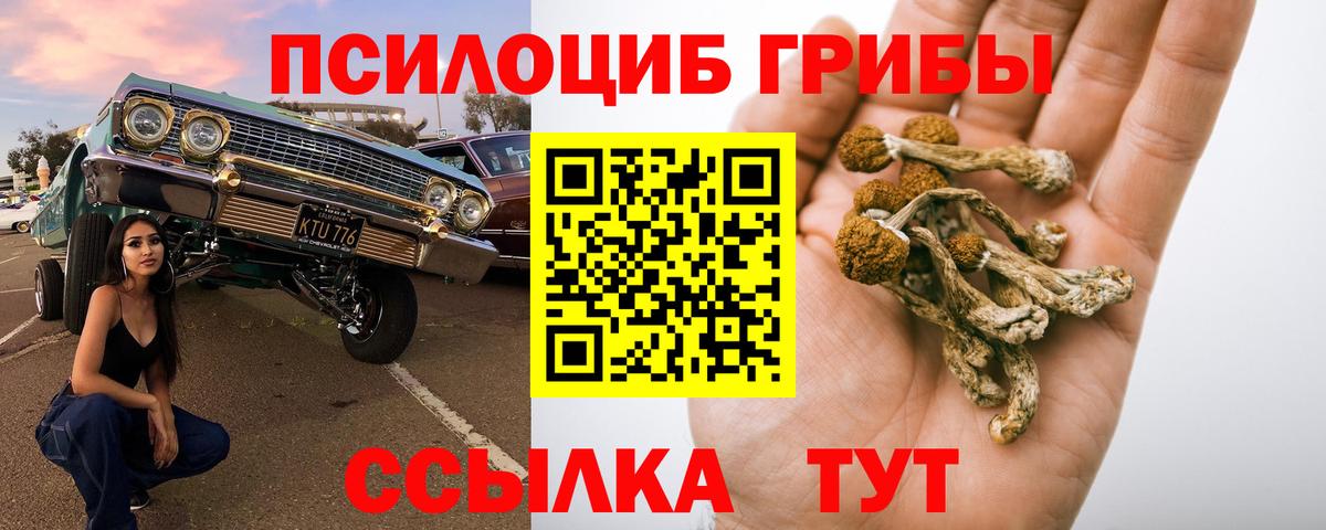 Галлюциногенные грибы GOLDEN TEACHER  Псилоцибиновые грибы GOLDEN TEACHER  Вход с VPN  Альметьевск 